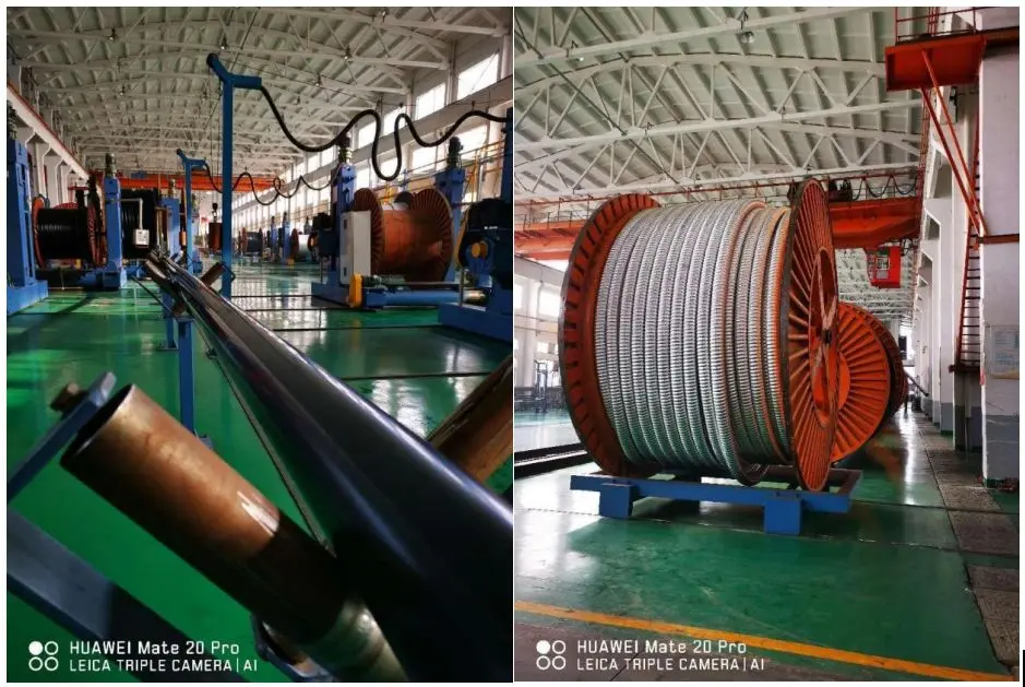 Business Visit trip to a famous Cable factory
